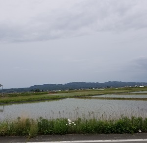 新潟県新潟市の田園風景♪